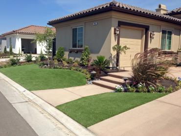 Artificial Grass Photos: Grass Carpet Cannon Beach, Oregon Design Ideas, Small Front Yard Landscaping