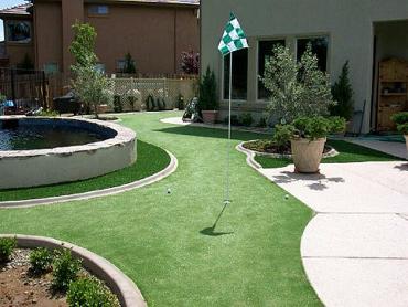 Artificial Grass Photos: Grass Carpet Carlton, Oregon Putting Greens, Backyard Landscaping Ideas