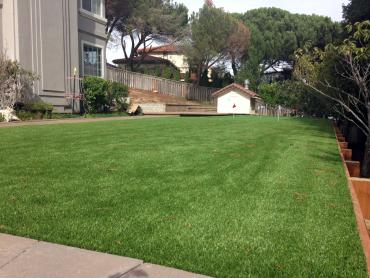 Artificial Grass Photos: Grass Carpet Cloverdale, Oregon Gardeners, Backyard Landscape Ideas