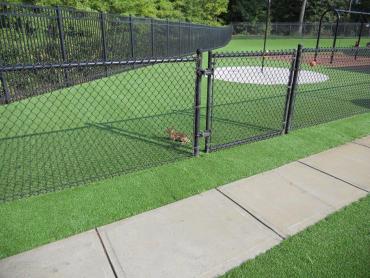 Artificial Grass Photos: Grass Carpet Culver, Oregon Design Ideas, Parks