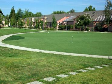 Artificial Grass Photos: Grass Carpet Deer Island, Oregon Roof Top, Commercial Landscape