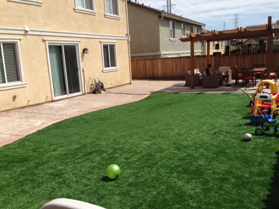 Artificial Grass Photos: Grass Carpet La Pine, Oregon Design Ideas, Backyard Designs