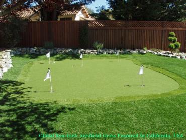 Artificial Grass Photos: Grass Carpet Lents, Oregon Lawn And Garden, Backyard Garden Ideas