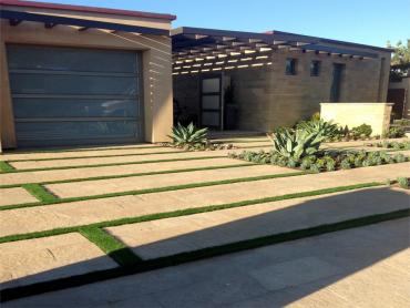 Artificial Grass Photos: Grass Carpet Oak Grove, Oregon Roof Top, Front Yard Landscaping Ideas