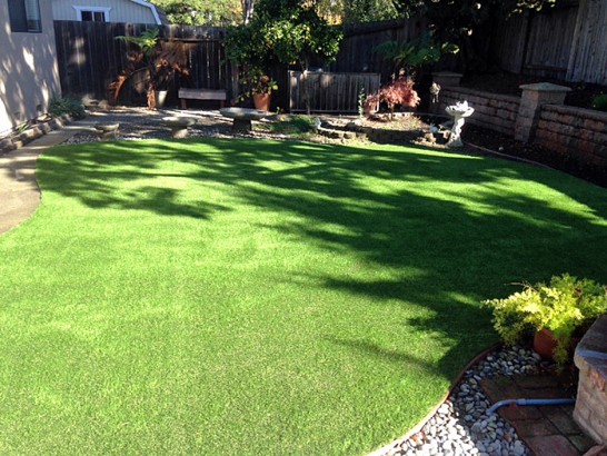 Artificial Grass Photos: Grass Installation Jeffers Garden, Oregon Indoor Dog Park, Backyard Landscape Ideas