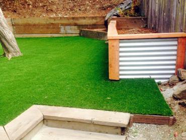 Artificial Grass Photos: Grass Installation Sandy, Oregon Garden Ideas, Backyards