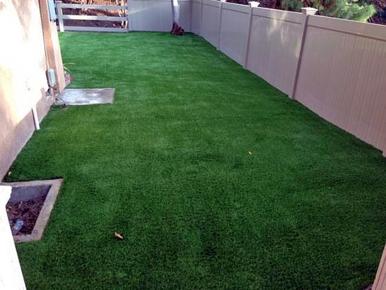 Artificial Grass Photos: Grass Installation Sandy, Oregon Lawn And Garden, Backyard Landscape Ideas