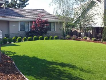 Artificial Grass Photos: Grass Installation Summit, Oregon Lawns, Small Front Yard Landscaping