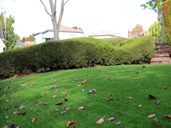 Artificial Grass Photos: Grass Installation Tualatin, Oregon Landscape Design, Front Yard Design