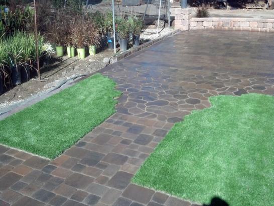 Artificial Grass Photos: Grass Installation Wapanitia, Oregon Lawn And Garden, Backyard Ideas