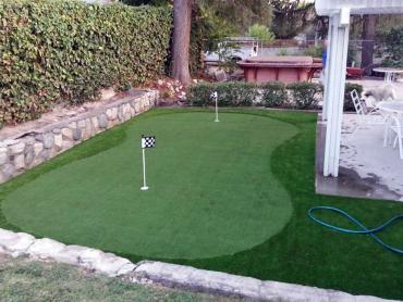 Artificial Grass Photos: Grass Installation Warrenton, Oregon Landscape Photos, Backyard Designs