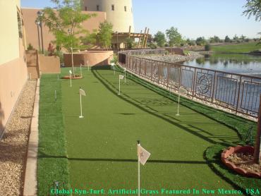 Artificial Grass Photos: Grass Installation West Slope, Oregon Putting Green, Backyard Garden Ideas