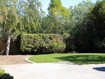 Artificial Grass Photos: Grass Installation Wheeler, Oregon Home And Garden, Small Backyard Ideas