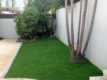 Artificial Grass Photos: Grass Turf Bayside Gardens, Oregon Lawns, Backyard Landscape Ideas