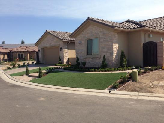 Artificial Grass Photos: Grass Turf Blodgett, Oregon Lawn And Landscape, Front Yard Landscaping Ideas