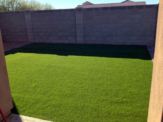 Artificial Grass Photos: Grass Turf Brooks, Oregon Landscape Photos, Backyard