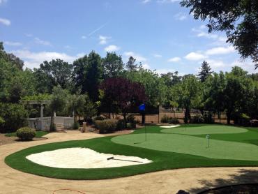 Artificial Grass Photos: Grass Turf Detroit, Oregon Putting Green Carpet, Small Front Yard Landscaping