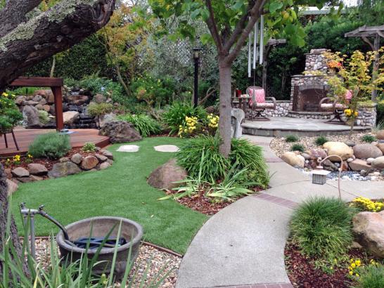 Artificial Grass Photos: Grass Turf Gopher Flats, Oregon Landscape Ideas, Backyard Landscaping Ideas