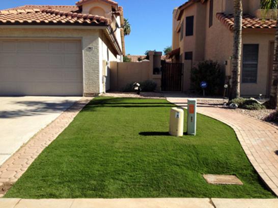 Artificial Grass Photos: Grass Turf Grand Ronde, Oregon Backyard Deck Ideas, Front Yard Landscaping Ideas