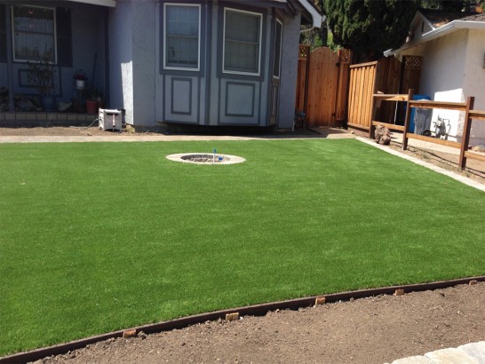 Artificial Grass Photos: Grass Turf Holley, Oregon Rooftop, Beautiful Backyards