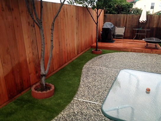 Artificial Grass Photos: Grass Turf Lacomb, Oregon Hotel For Dogs, Backyard Garden Ideas