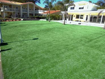 Artificial Grass Photos: Grass Turf Lakeside, Oregon Lawn And Landscape, Pool Designs