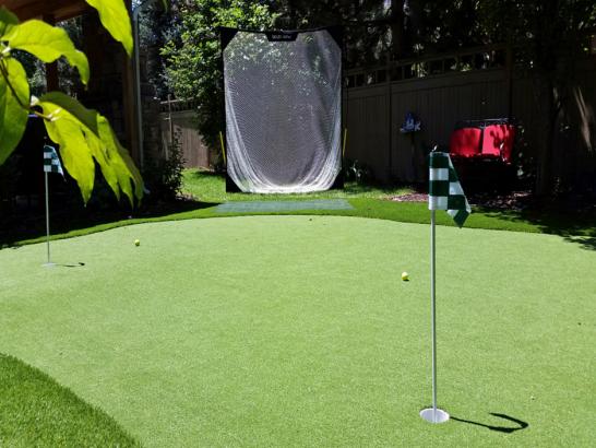 Artificial Grass Photos: Grass Turf Madras, Oregon Backyard Putting Green, Backyard Garden Ideas