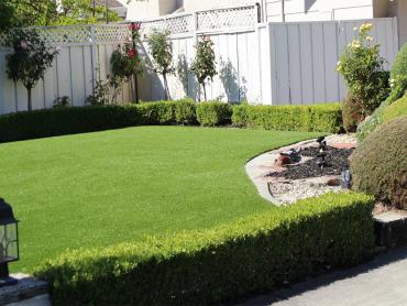 Artificial Grass Photos: Grass Turf Riverside, Oregon Backyard Playground, Front Yard Ideas