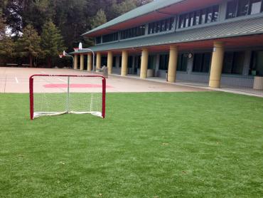 Artificial Grass Photos: Grass Turf Troutdale, Oregon High School Sports, Commercial Landscape