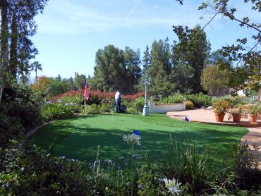 Artificial Grass Photos: Grass Turf West Linn, Oregon Golf Green, Backyard Garden Ideas