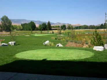 Artificial Grass Photos: Grass Turf Woodburn, Oregon Putting Green Flags, Backyard Landscaping Ideas