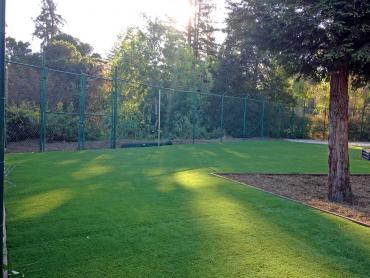 Artificial Grass Photos: Green Lawn Black Butte Ranch, Oregon Athletic Playground, Recreational Areas