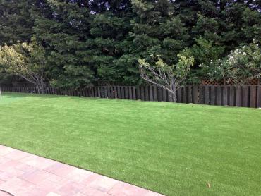 Artificial Grass Photos: Green Lawn Chenoweth, Oregon Roof Top, Backyard Ideas