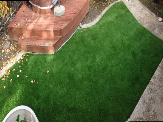 Artificial Grass Photos: Green Lawn Dundee, Oregon Landscape Design, Backyards