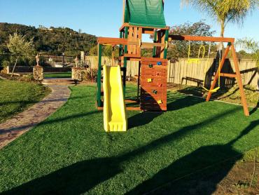 Artificial Grass Photos: Green Lawn Gladstone, Oregon Lawns, Backyard Design