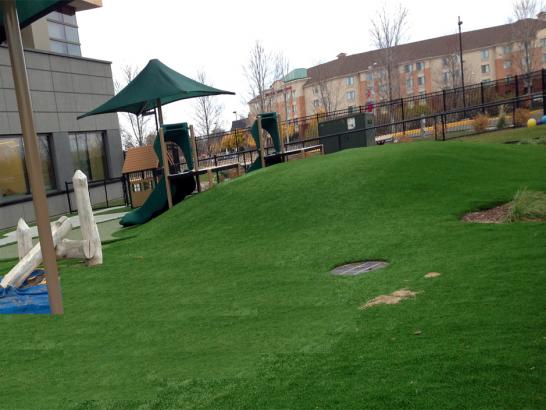 Artificial Grass Photos: Green Lawn Lexington, Oregon Rooftop, Commercial Landscape