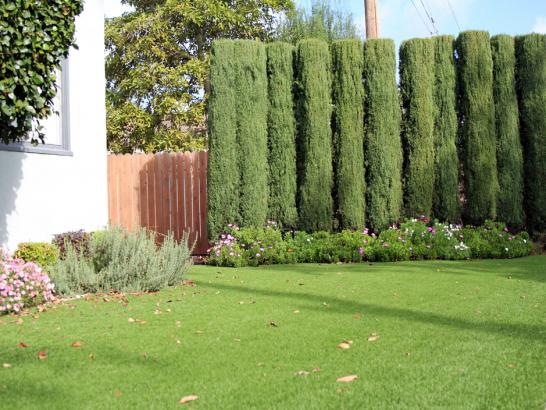 Artificial Grass Photos: Green Lawn Vernonia, Oregon Backyard Deck Ideas, Landscaping Ideas For Front Yard