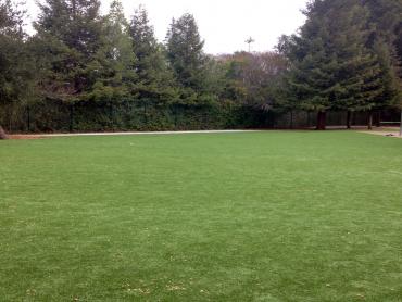 Artificial Grass Photos: Green Lawn Vernonia, Oregon Landscaping, Recreational Areas