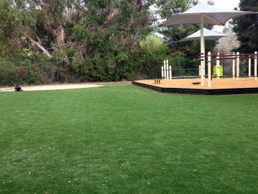 Artificial Grass Photos: Green Lawn Wilsonville, Oregon Indoor Playground