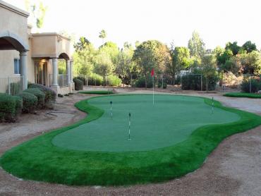 Artificial Grass Photos: How To Install Artificial Grass Mount Vernon, Oregon Putting Greens, Small Backyard Ideas