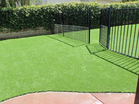 Artificial Grass Photos: How To Install Artificial Grass Nehalem, Oregon Rooftop, Front Yard Ideas