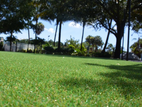 Artificial Grass Photos: How To Install Artificial Grass Unity, Oregon Lawns, Recreational Areas