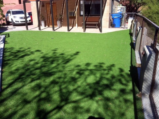 Artificial Grass Photos: How To Install Artificial Grass Waterloo, Oregon Lawn And Landscape, Backyards