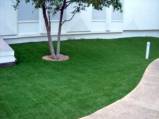 Artificial Grass Photos: Installing Artificial Grass Arlington, Oregon Rooftop, Commercial Landscape