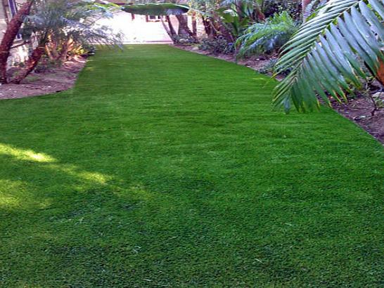 Artificial Grass Photos: Installing Artificial Grass Columbia City, Oregon Design Ideas, Backyard Landscape Ideas