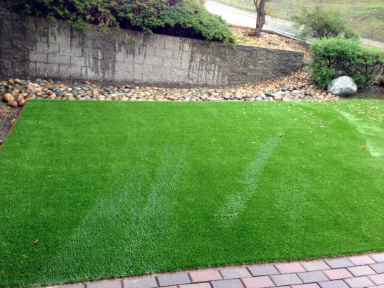 Artificial Grass Photos: Installing Artificial Grass Lowell, Oregon Backyard Deck Ideas, Backyard Garden Ideas