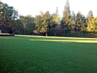 Artificial Grass Photos: Installing Artificial Grass Philomath, Oregon Home And Garden, Parks