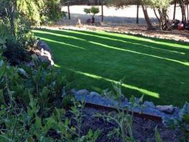 Artificial Grass Photos: Lawn Services Aurora, Oregon Roof Top, Backyard Ideas