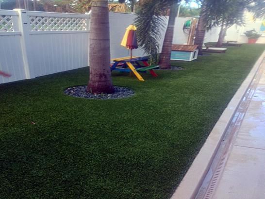 Artificial Grass Photos: Lawn Services Barview, Oregon Gardeners, Backyard Landscape Ideas