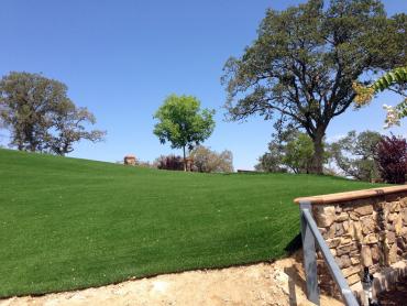 Artificial Grass Photos: Lawn Services Blodgett, Oregon Landscaping, Front Yard